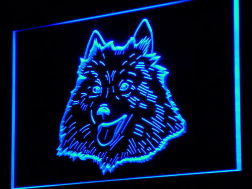 American Eskimo Dog Pet Shop Neon Light Sign